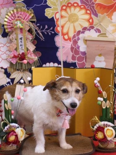 20240123こはるちゃん